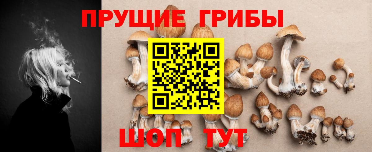 Сосновоборск  Галлюциногенные грибы мицелий  Вход с VPN 